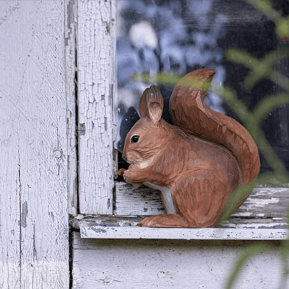 Wildlife garden egern